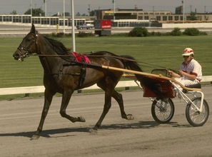 做梦梦见停车位，梦见停车场是什么征兆