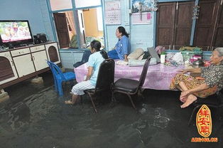 梦见家人被电击倒了，梦到家人被电到