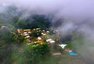 梦见地脏了是什么意思，梦见坟地