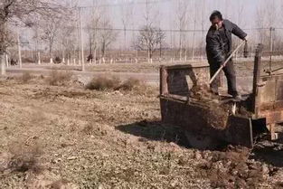 梦见往地里送粪，梦见送粪