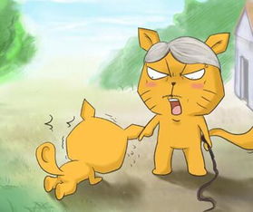 梦见别人骂我傻子，梦见别人骂我傻