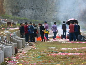 梦见捡地瓜是什么意思预兆，梦见捡地皮菇是什么意思
