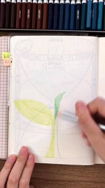 梦见幼苗茁壮成长,梦见映苗刚刚长出来