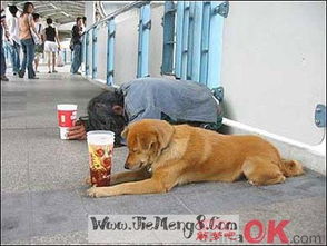 梦见有人乞讨要吃的，梦见有人乞讨钱