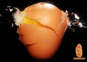 周公解梦摔碎鸡蛋什么预兆，梦到摔鸡蛋是什么意思