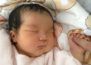 梦见妻子怀双胞胎女儿什么意思，梦到妻子怀双胞胎