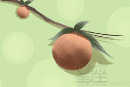 梦到树上下来，梦见树往下沉