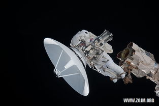 梦到蛇咬自己的手出血什么预兆，做梦梦见蛇咬我的手出血是什么预兆