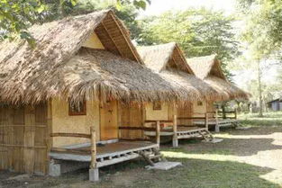 梦到好多茅草什么预兆，梦见很多茅草屋是什么意思