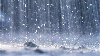 梦见f雨下的发洪水，梦见F雨了,水从墙缝里流到屋里