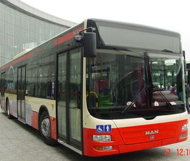 能见坐公交车，梦里梦到坐公交车