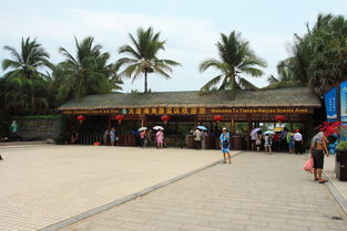 梦见单位组织旅游但没有通知我，梦见单位组织旅游带妈妈一起去玩