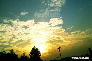 梦到花钱买东西买贵了，梦见付钱具体数字