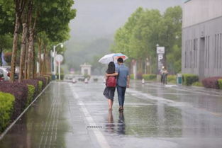 梦见倾盆大雨电闪雷鸣又变大雪，梦见滂沱大雨电闪雷鸣
