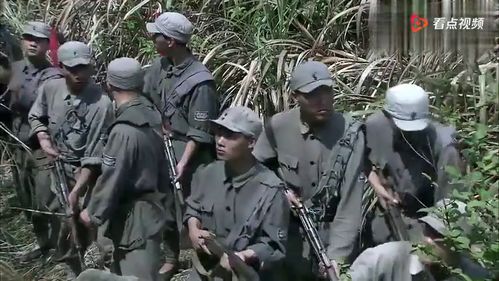 梦见追不上队伍，梦见部队追我我拼命跑和躲藏