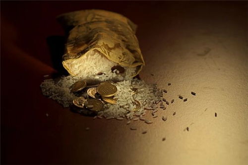 梦见捡了袋大米，梦见捡了一袋米