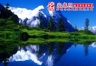 梦见山会飞，梦见在山间飞