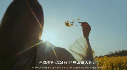 梦见姓苏的人好不好，梦见姓段的人