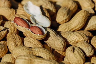 梦见在坟墓上种花生，梦见在坟地栽花