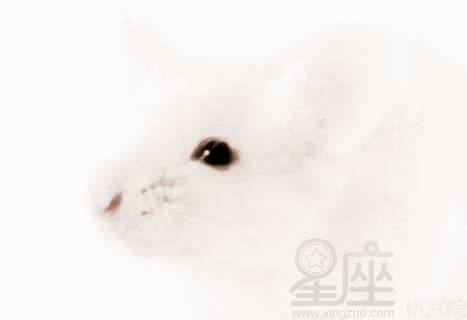 梦见抓小蛇被咬自己的手，梦见抓小蛇没抓住