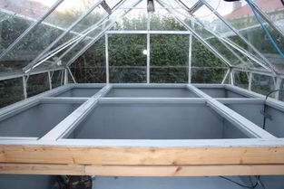 梦见房子里养鱼，梦见家里室内有养鱼池