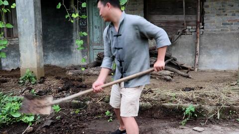 梦见下雨抓水牛，梦见逮了好多山水牛