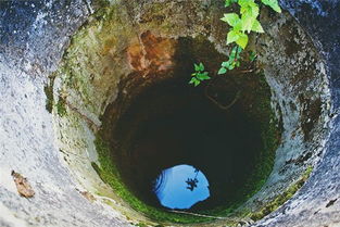 梦到井水混浊什么预兆，梦见水井里的水混浊