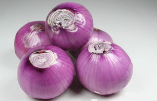 梦见收割葱，梦见收获大葱是什么意思周公解梦