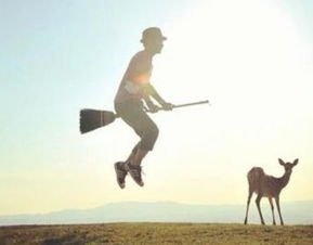 梦见自己飞起来又落下，梦见自己飞起来也能落地