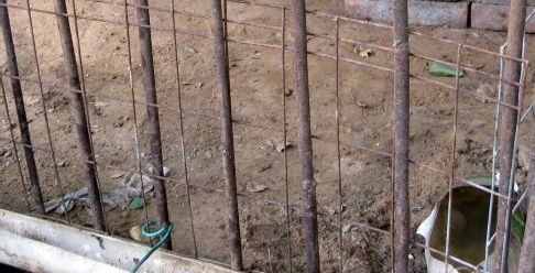 梦见搭建鸡窝，梦见给鸡搭窝