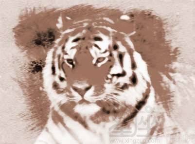 梦见巨蟒和龙，梦见龙蟒蛇什么意思