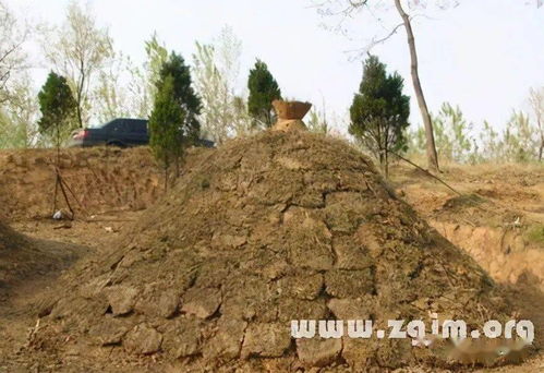 梦到新坟堆，梦见坟地动土