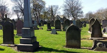 梦见坟地洗澡，梦见坟地泡水