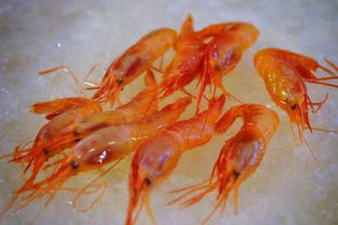 梦见买活虾是什么意思，梦见买活虾子是什么预兆啊