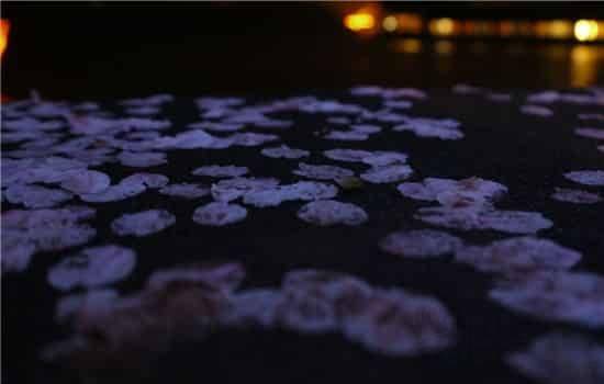 梦到花圈是什么意思啊，梦见花圈是什么意思有什么预兆