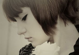 梦见头上有网，梦见头上有虫子是怎么回事