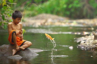 梦中梦到捉鱼是什么意思，梦里捉鱼是咋回事