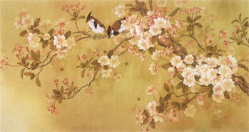 梦到花鸟鱼虫，梦到花鸟屋