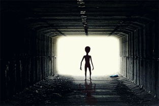 梦见怪风很可怕，梦见邪风怪风