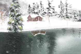 梦见一堆瓜子皮，梦见一堆瓜子和一堆空壳瓜子什么意思