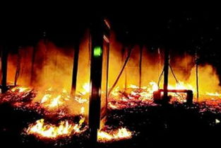 梦到卖木头什么意思，做梦卖木头卖了好多钱