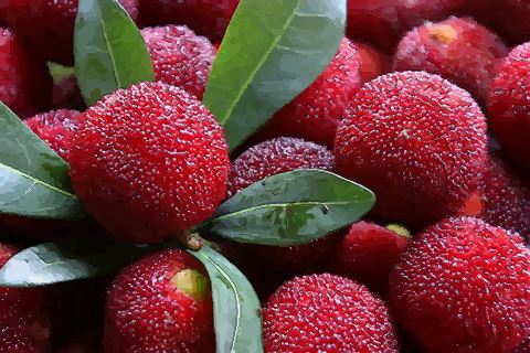 梦到别人送钟给我，梦见别人给我送钟好不好?