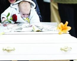 梦里见官材，昨晚梦见官材