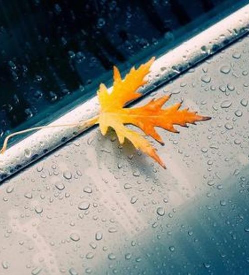 梦到白色的轿子向自己飘来，梦见白票子是什么意思