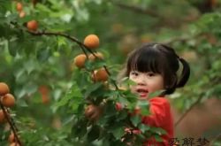 梦到上山采花，梦见去山上采了很漂亮的花