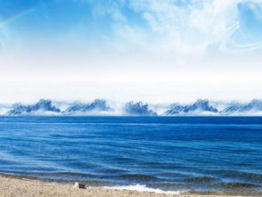 梦见大海鲸鱼是什么预兆,梦见大海和一条巨大的鲸鱼