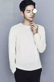 梦见宋仲基是什么意思?，梦见宋茜