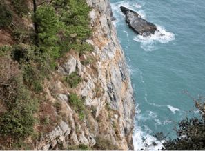 梦见坠崖是什么兆头，梦见坠崖落水