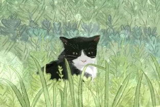 梦到柳条子,梦到柳条断了什么预兆