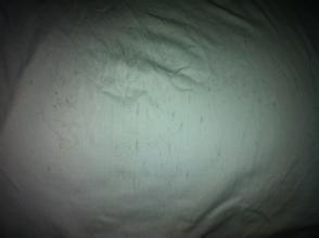 梦见黑斑鱼，梦见黑斑猫